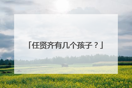 任贤齐有几个孩子？