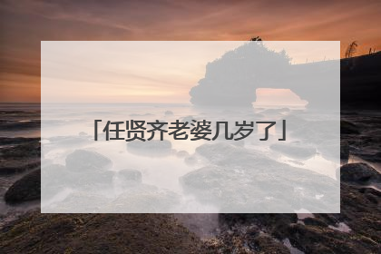 任贤齐老婆几岁了