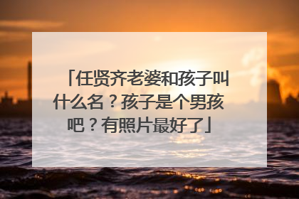 任贤齐老婆和孩子叫什么名？孩子是个男孩吧？有照片最好了