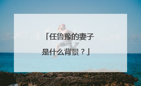 任鲁豫的妻子是什么背景?