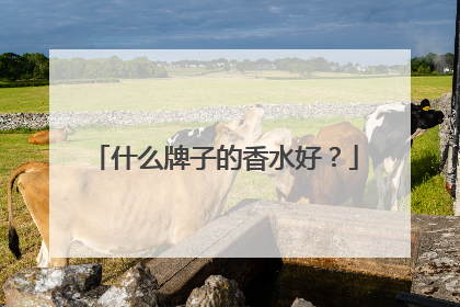 什么牌子的香水好？