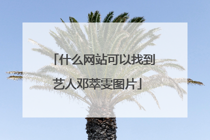 什么网站可以找到艺人邓萃雯图片