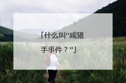 什么叫“咸猪手事件?”