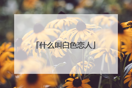 什么叫白色恋人