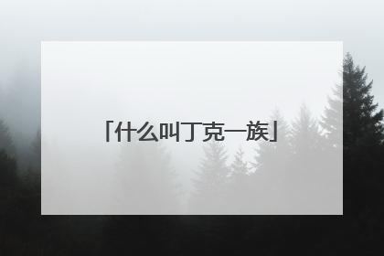 什么叫丁克一族
