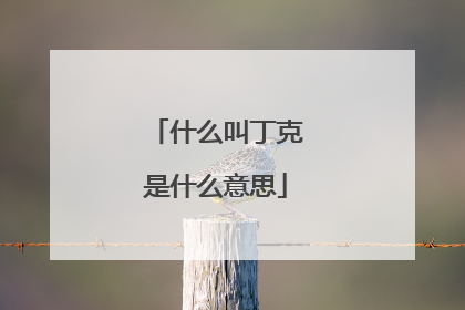 什么叫丁克是什么意思