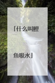 什么叫鲤鱼吸水