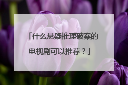 什么悬疑推理破案的电视剧可以推荐?