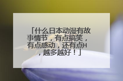 什么日本动漫有故事情节，有点搞笑，有点感动，还有点H，越多越好！