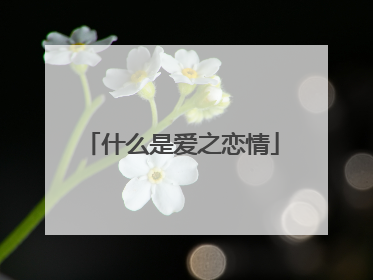 什么是爱之恋情