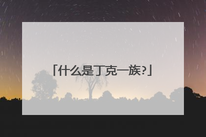 什么是丁克一族?