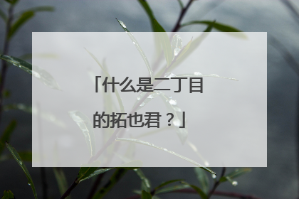 什么是二丁目的拓也君?