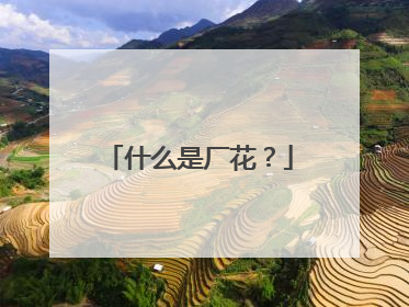 什么是厂花？