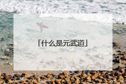 什么是元武道