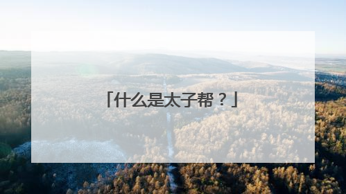 什么是太子帮？