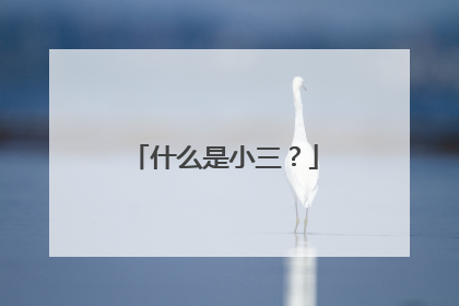 什么是小三？