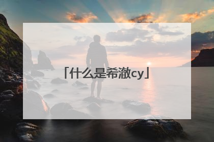 什么是希澈cy