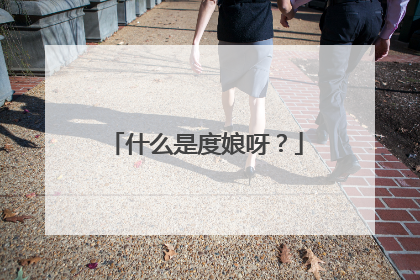 什么是度娘呀？