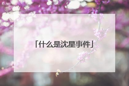 什么是沈星事件