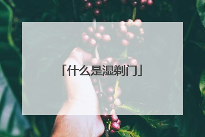 什么是湿剃门