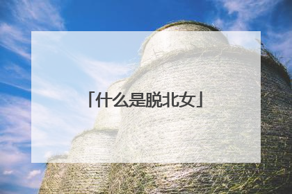 什么是脱北女