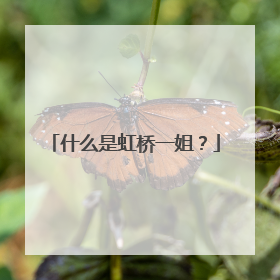 什么是虹桥一姐？