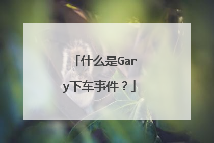 什么是Gary下车事件？