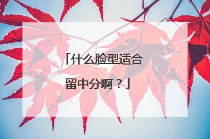 什么脸型适合留中分啊？
