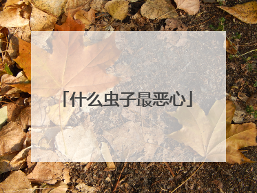 什么虫子最恶心