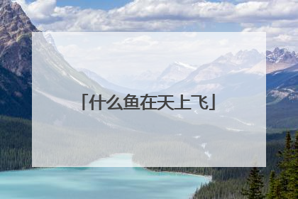 什么鱼在天上飞