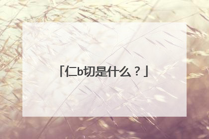 仁b切是什么？