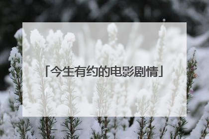 今生有约的电影剧情