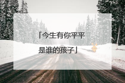 今生有你平平是谁的孩子