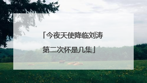 今夜天使降临刘涛第二次怀是几集