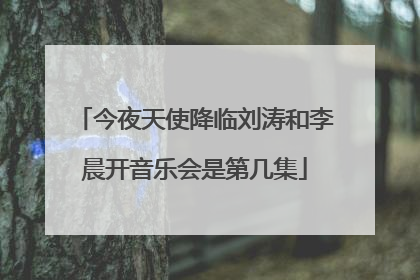 今夜天使降临刘涛和李晨开音乐会是第几集