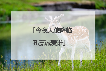 今夜天使降临孔嘉诚爱谁