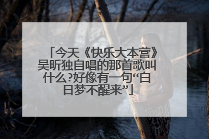 今天《快乐大本营》吴昕独自唱的那首歌叫什么?好像有一句“白日梦不醒来”