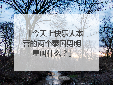 今天上快乐大本营的两个泰国男明星叫什么？