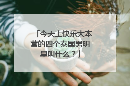 今天上快乐大本营的四个泰国男明星叫什么？
