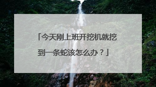 今天刚上班开挖机就挖到一条蛇该怎么办？