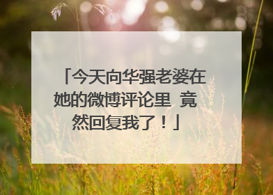 今天向华强老婆在她的微博评论里 竟然回复我了！