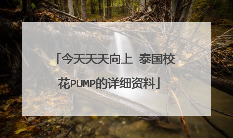 今天天天向上 泰国校花PUMP的详细资料