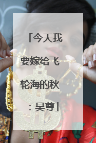 今天我要嫁给飞轮海的秋:吴尊