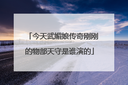 今天武媚娘传奇刚刚的物部天守是谁演的