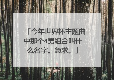 今年世界杯主题曲中那个4男组合叫什么名字。急求。