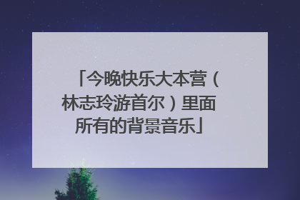 今晚快乐大本营(林志玲游首尔)里面所有的背景音乐