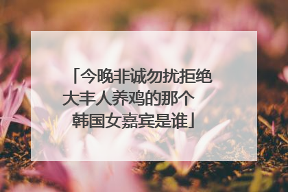 今晚非诚勿扰拒绝大丰人养鸡的那个 韩国女嘉宾是谁