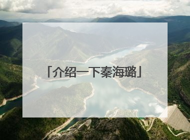 介绍一下秦海璐