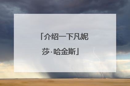介绍一下凡妮莎·哈金斯