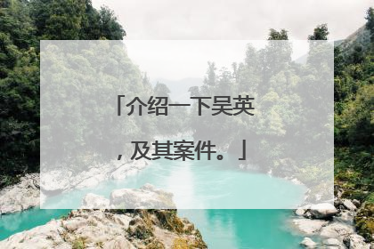 介绍一下吴英，及其案件。
